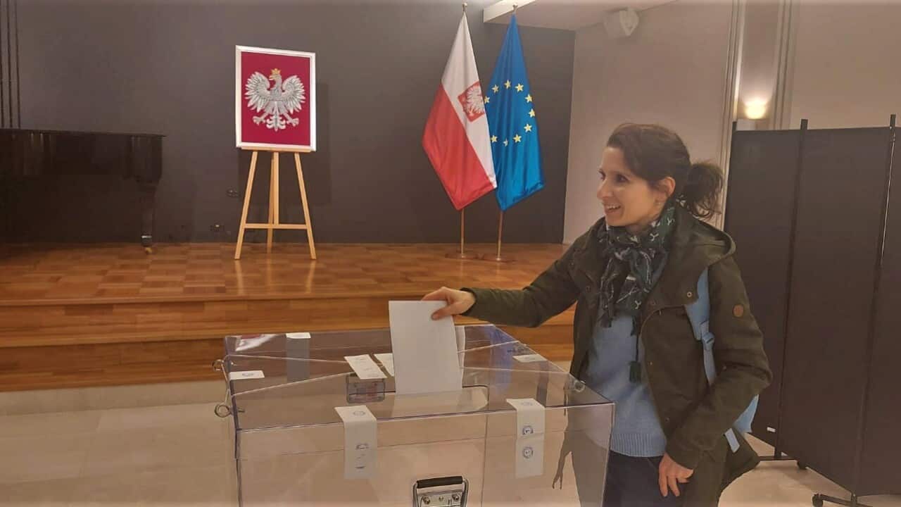 wybory.jpg
