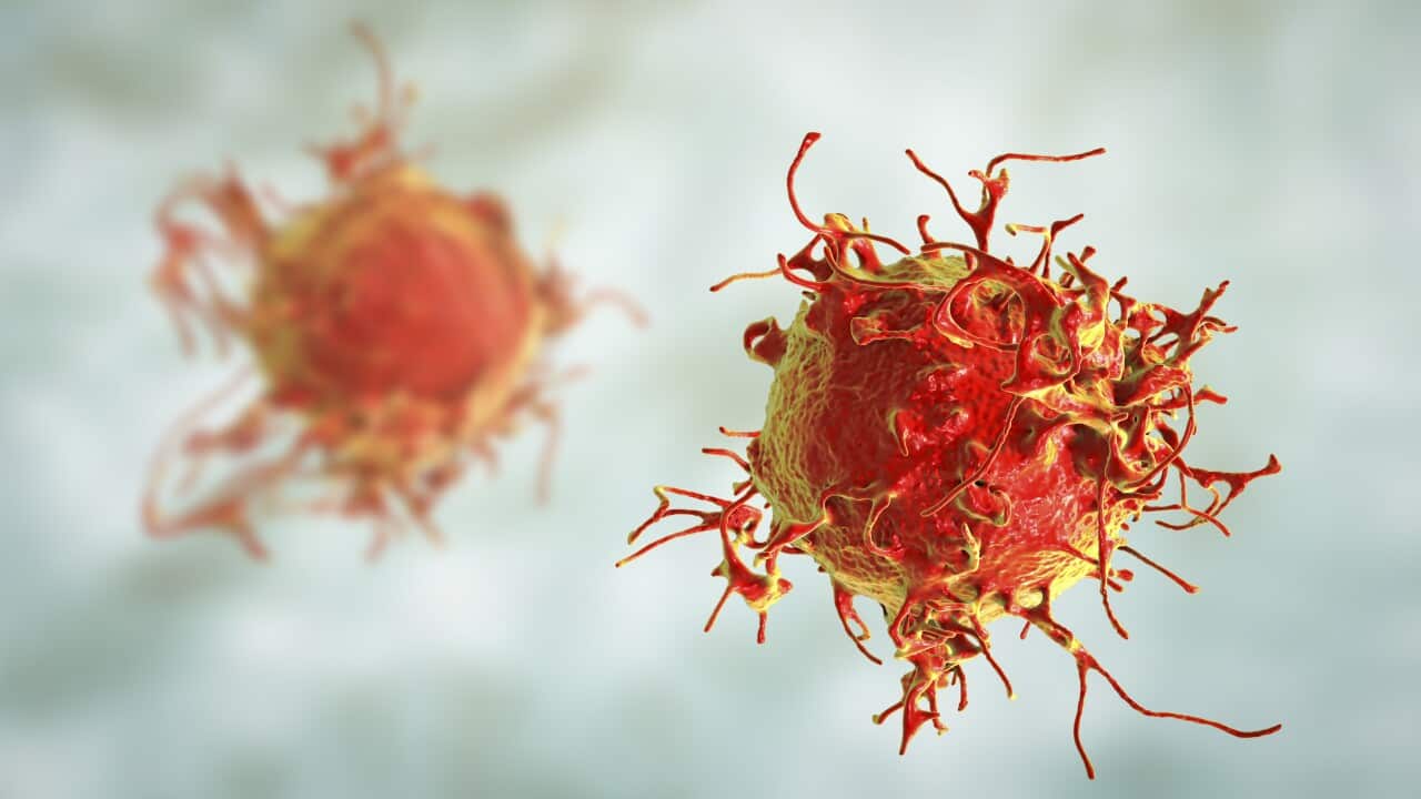 Skin cancer cell, illustration