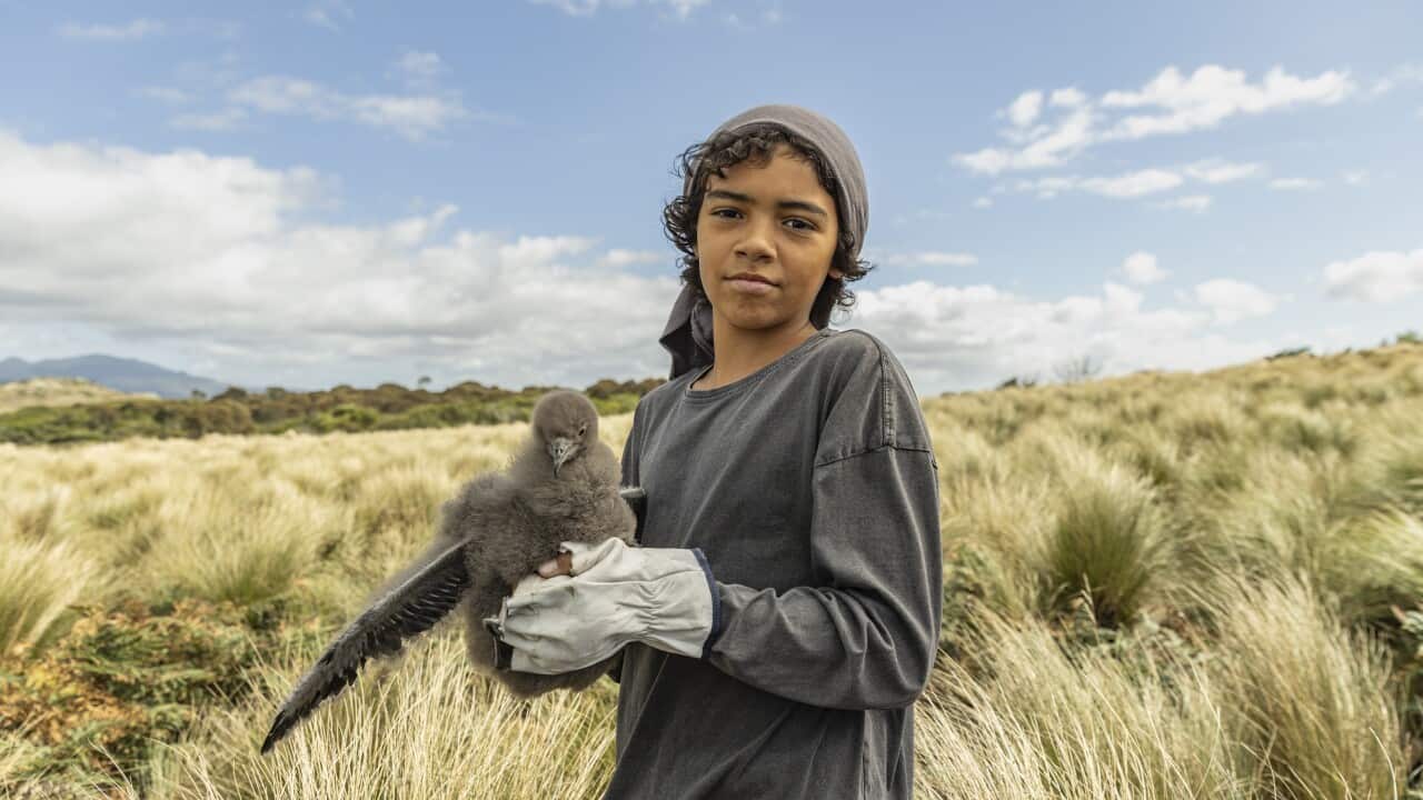Sonny (Lennox Monaghan) holding a baby muttonbird.