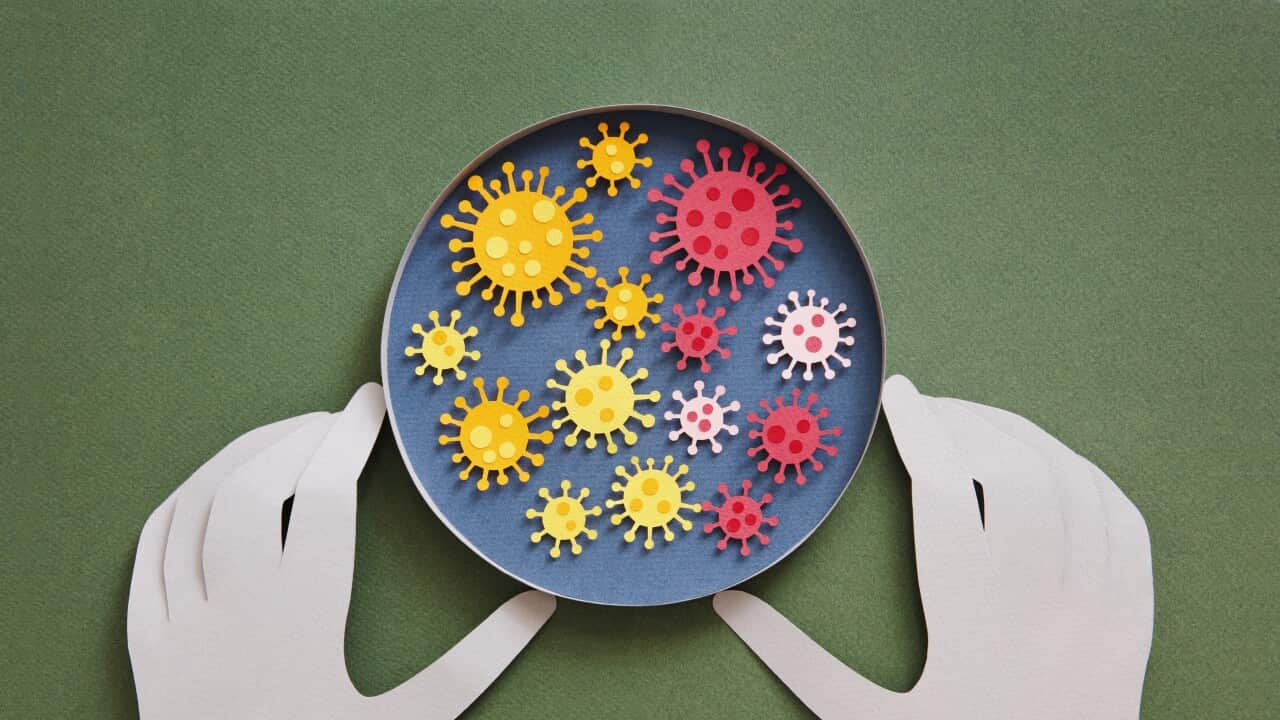 Concept of coronavirus testing