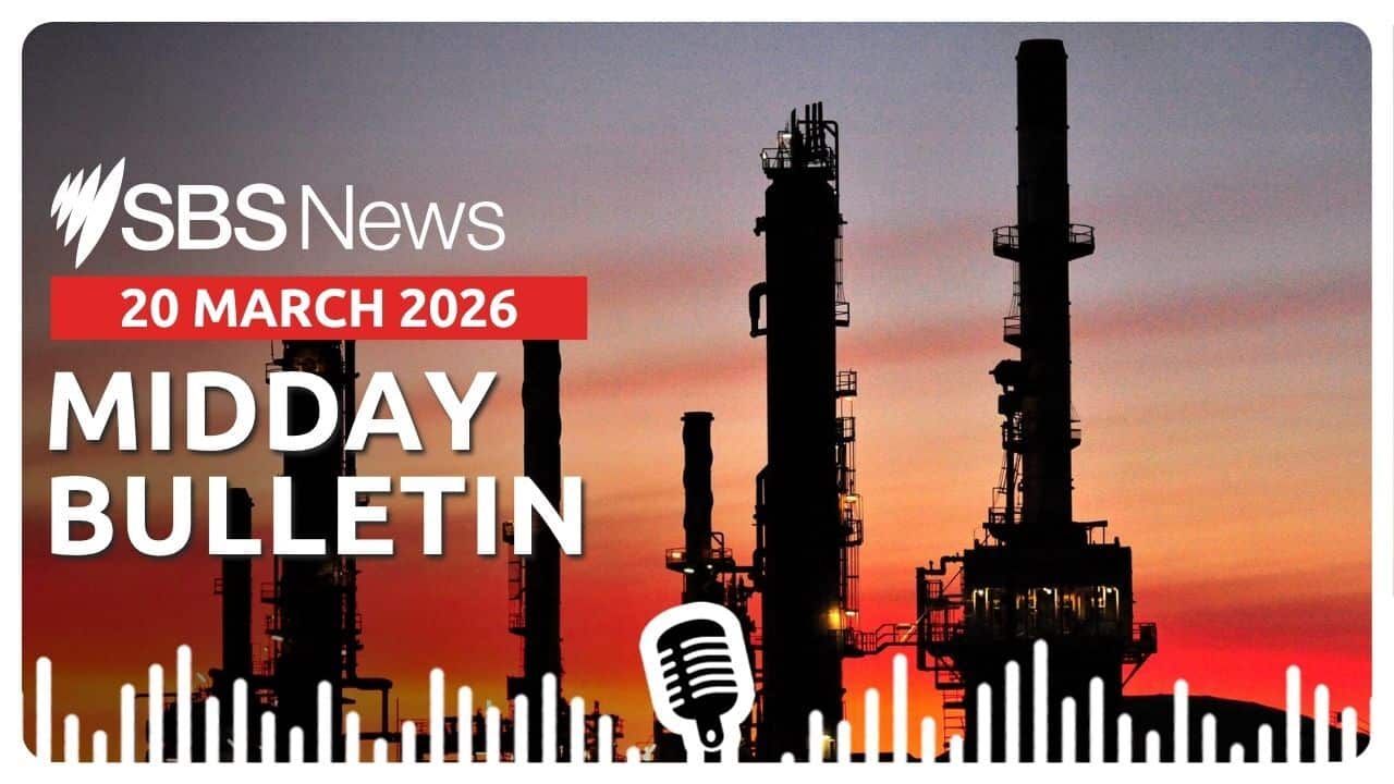 MIDDAY BULLETIN (2).jpg