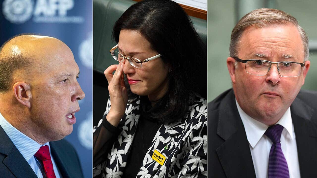 Image for read more article ''