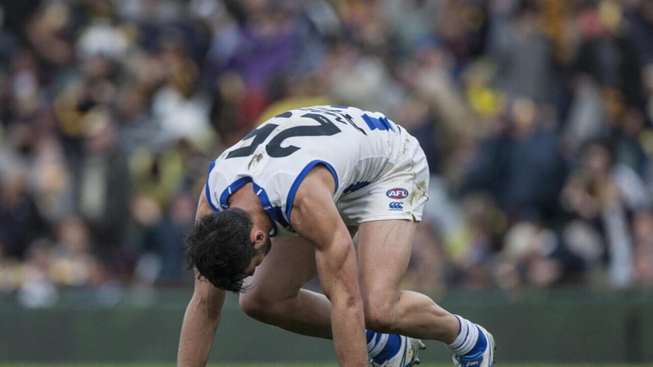 Robbie Tarrant of North Melbourne