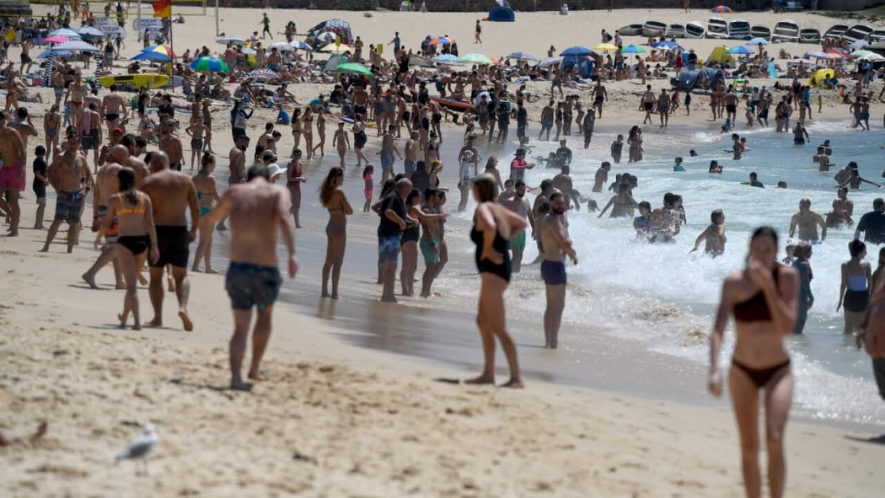 Beachgoers are seen at Coogee Beach during hot weather in Sydney, Saturday, 1 February, 2020.