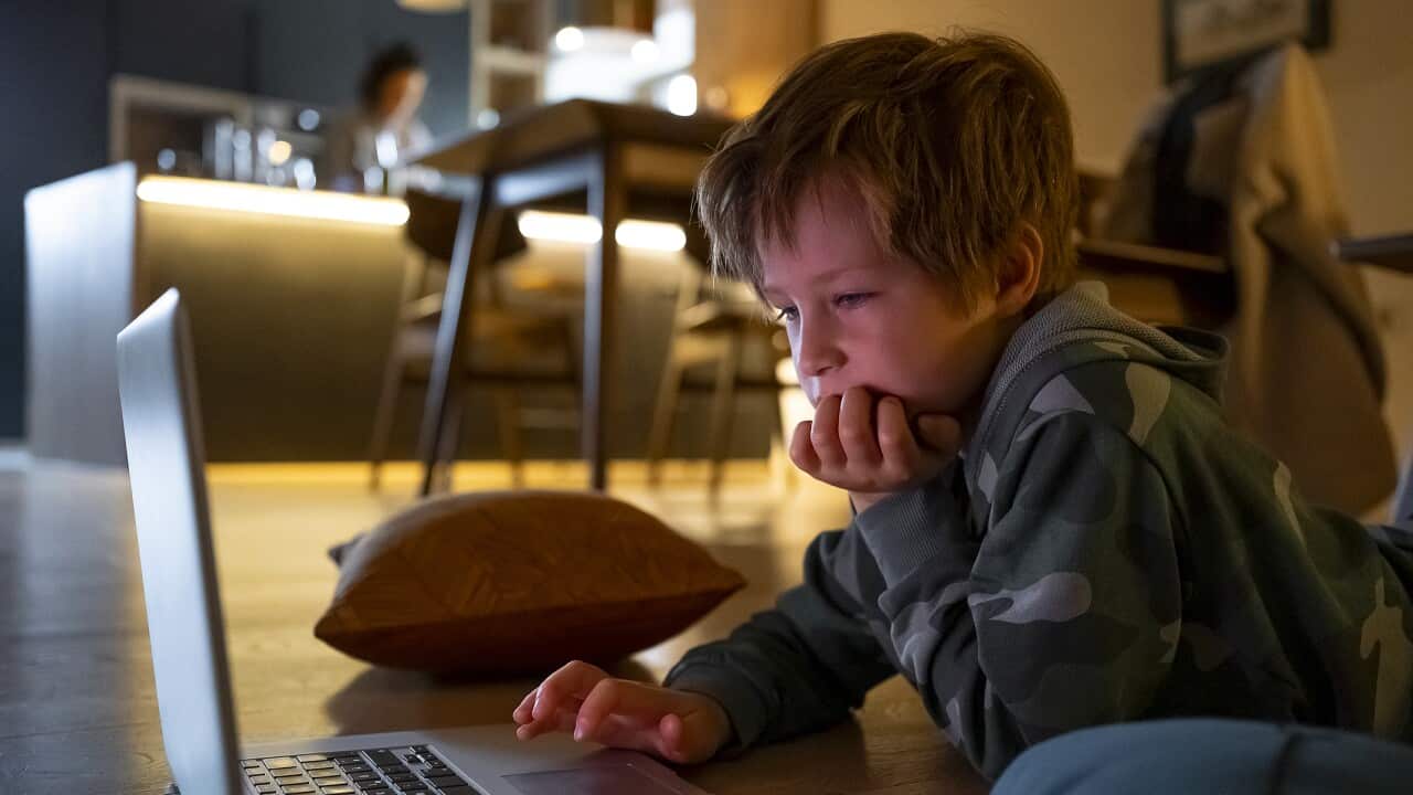 Young kid looking movies on the laptop