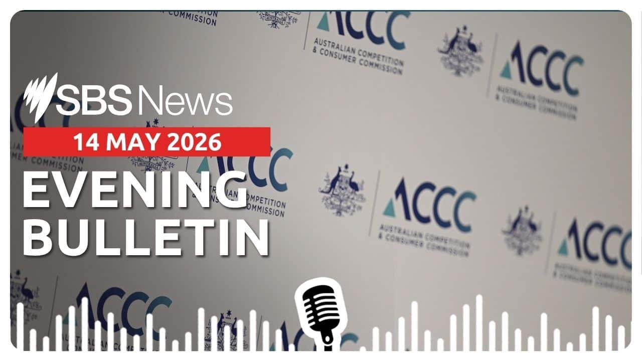 Evening News Bulletin 14 May 2026 (AAP).jpg