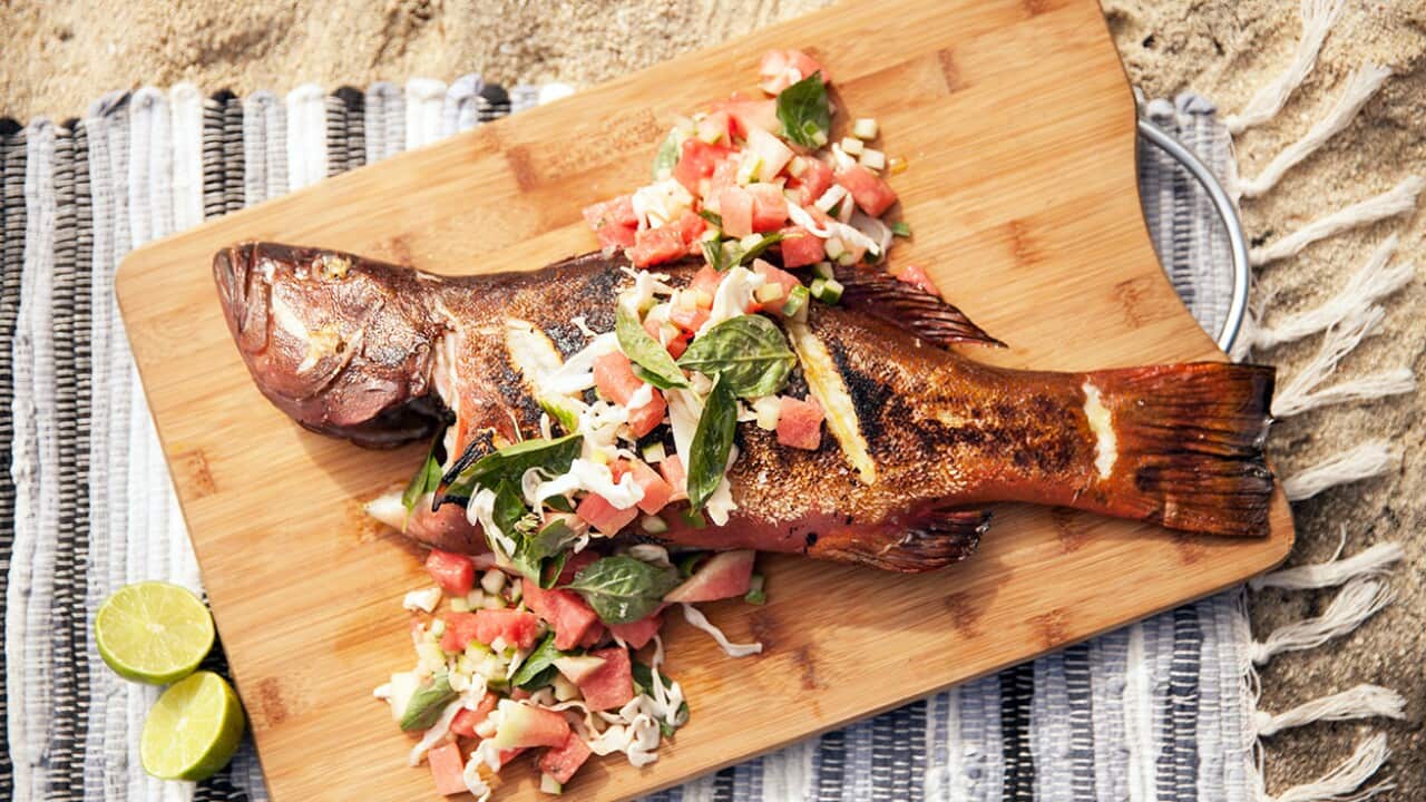 Grilled reef fish with watermelon salad