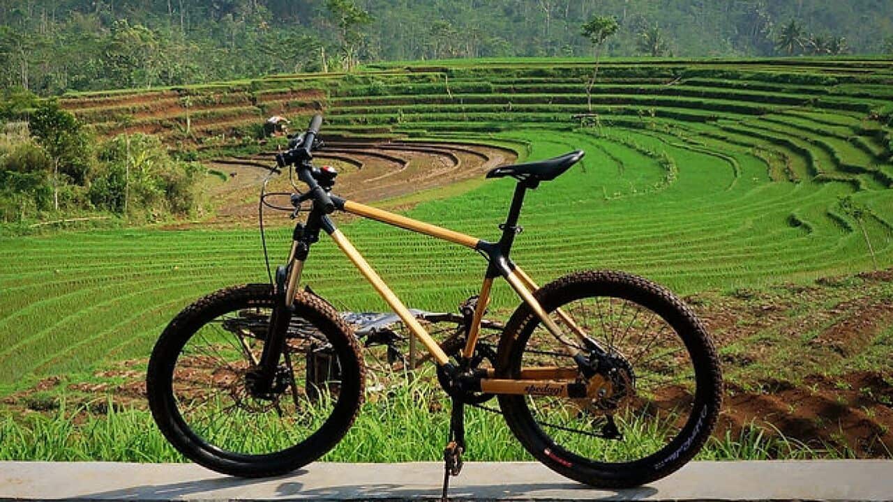 Sepeda ini adalah Spedagi, sebuah produk sepeda dari Temanggung, Jawa Tengah. Sepeda yang dipakai PM Albanese dan Presiden Jberkeliling Kebun Raya Bogor.