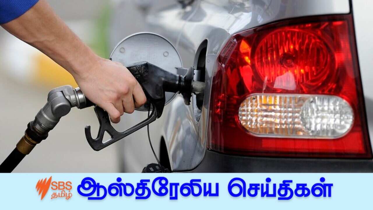 AAP