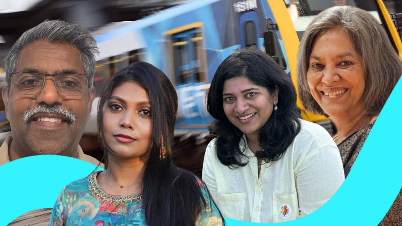 Free Transport Voxxies SBS Hindi