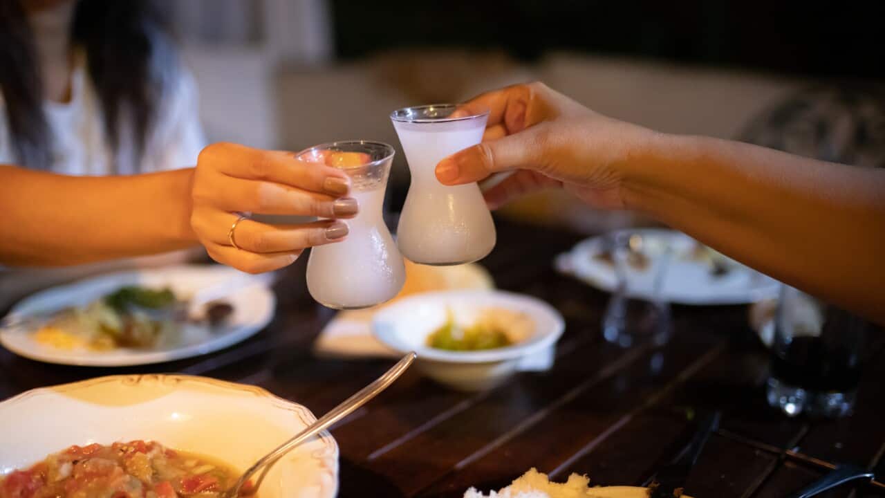 Friends toasting raki and having fun at dinner