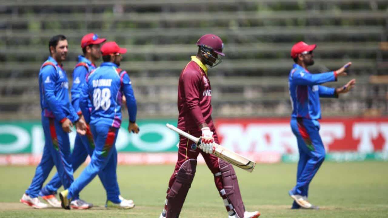 Afghanistan players celebrate the wicket of Marlon Samuels