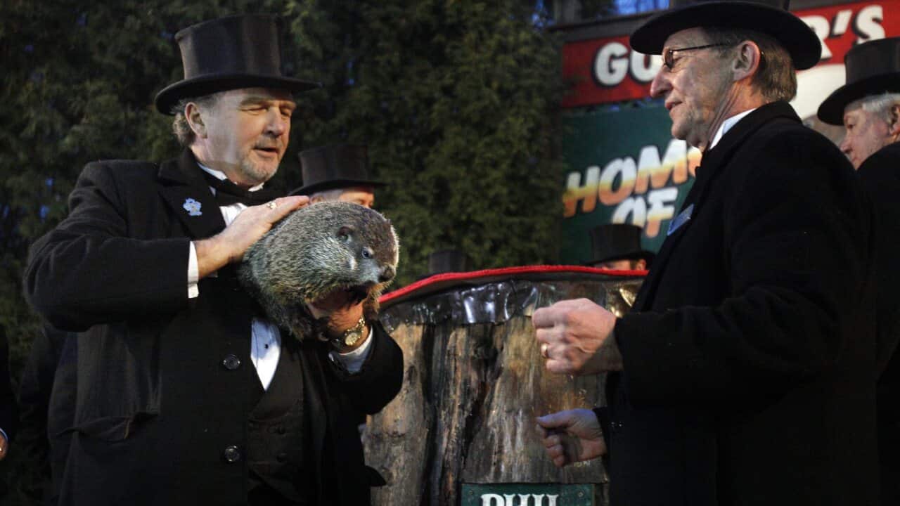 140203_groundhog_day_aap.jpg