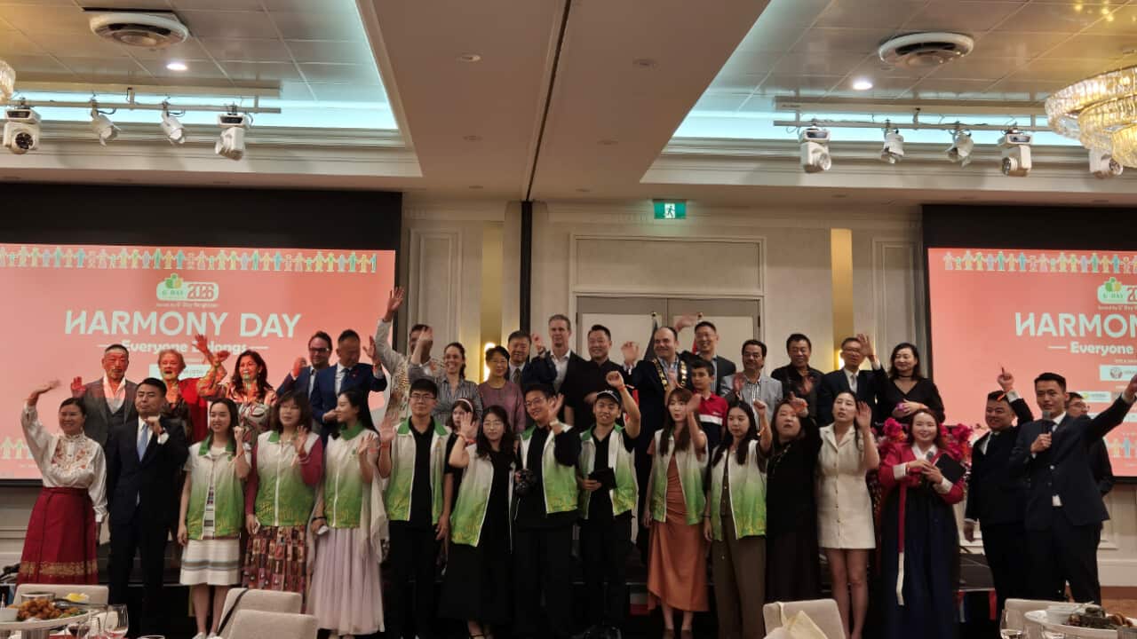 Screenshot 2026-03-22 234249.png