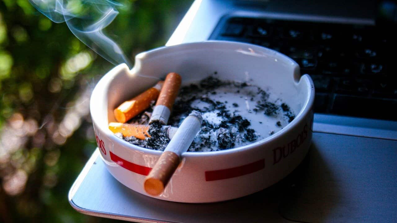 MPs explain why they propose reducing the tax on cigarettes