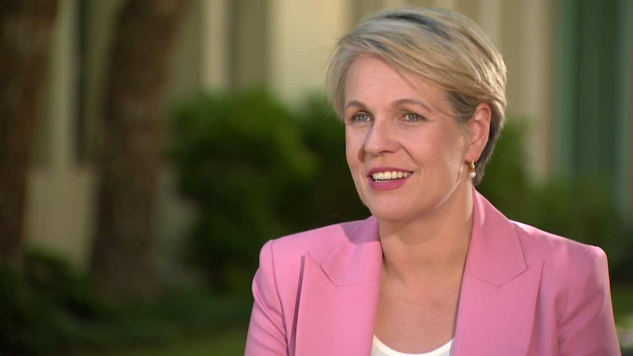 Tanya Plibersek