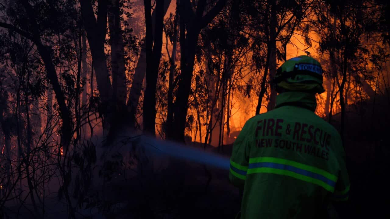 Fire and Rescue NSW firefighters conduct property protection as a bushfire burns close to homes on Railway Parade in Woodford NSW, Friday, November 8, 2019. Hot, windy conditions are wreaking havoc as bushfires burn out of control across parts of NSW, wit