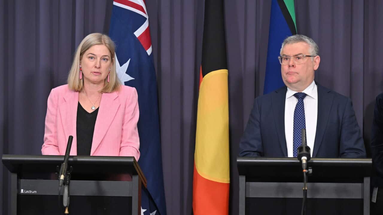 JULIE COLLINS BIRD FLU PRESSER