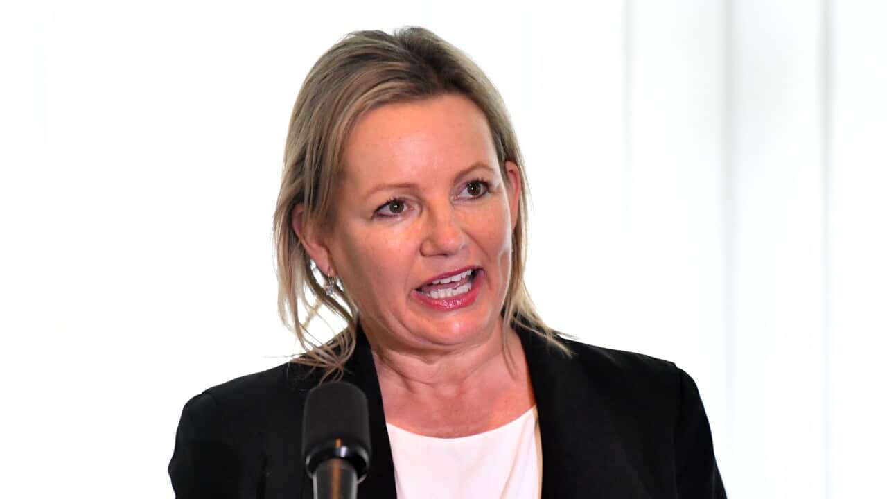 Environment Minister Sussan Ley.