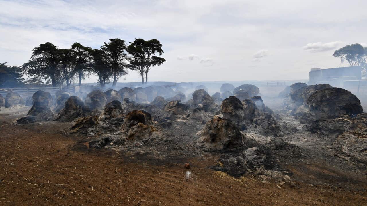 Smoke rises from burning hay bales on Kangaroo Island, southwest of Adelaide.