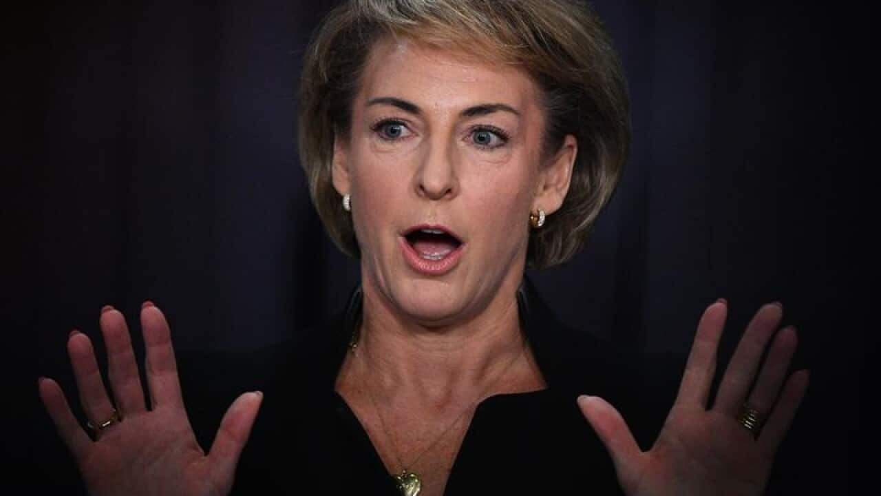 Minister for Jobs Michaelia Cash