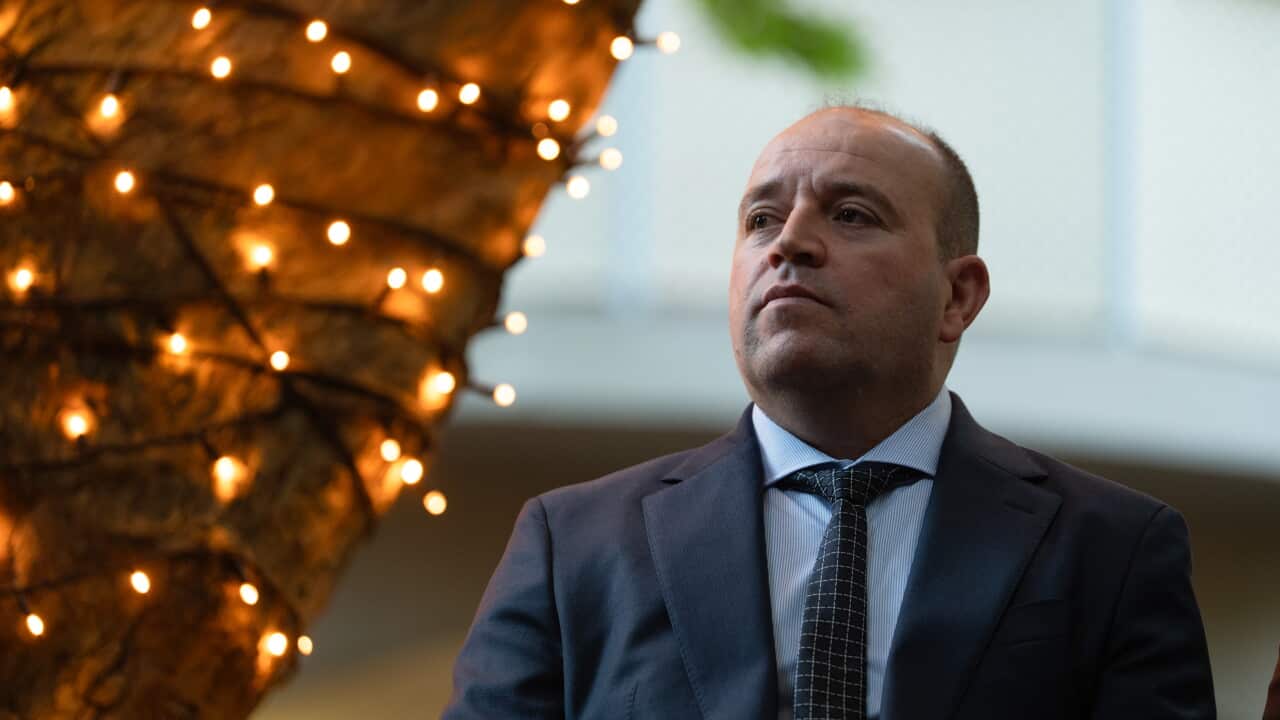 A middle-aged man in a grey suit and tie stands close to a tree wrapped in fairy lights.