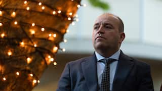 A middle-aged man in a grey suit and tie stands close to a tree wrapped in fairy lights.