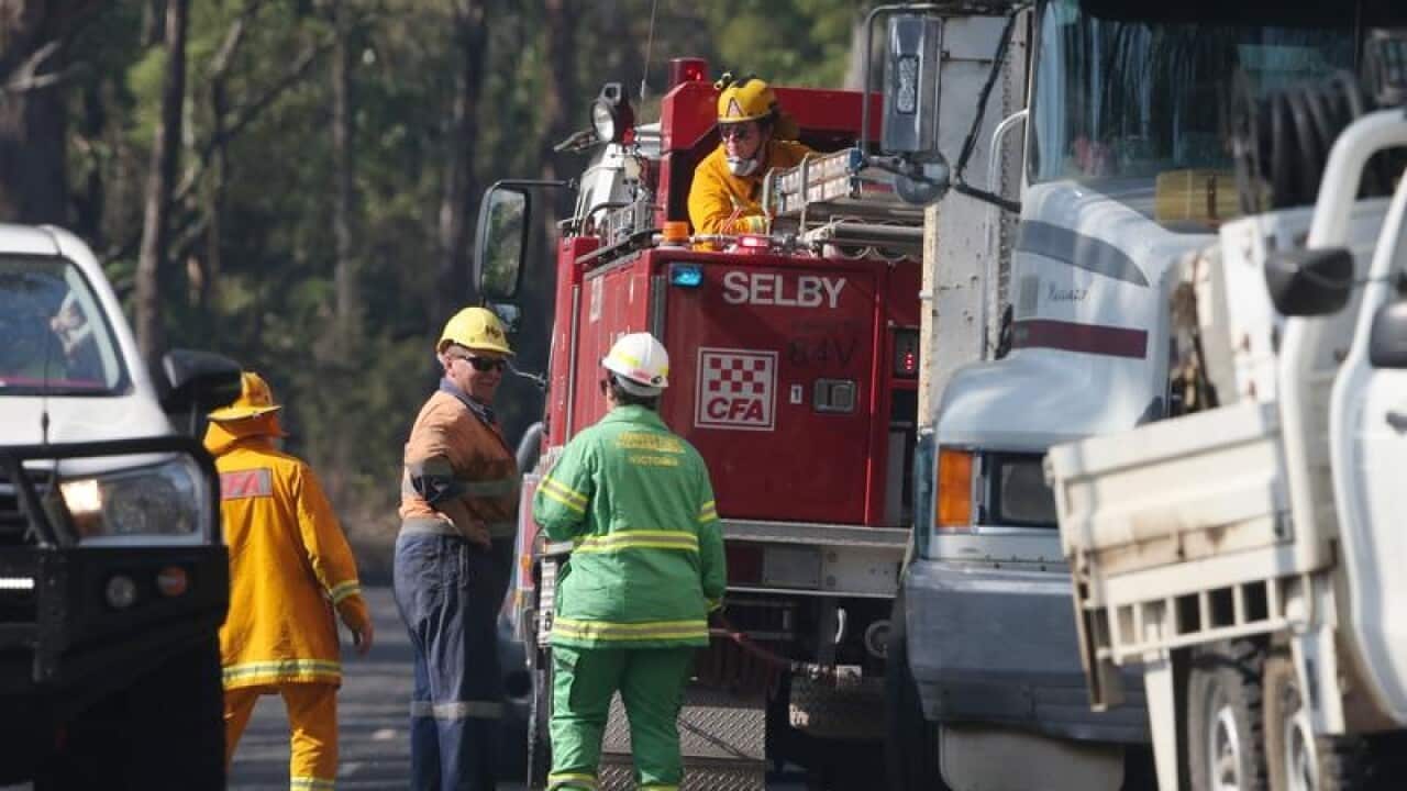 Firefighters work to extinguish a bushfire in Gippsland