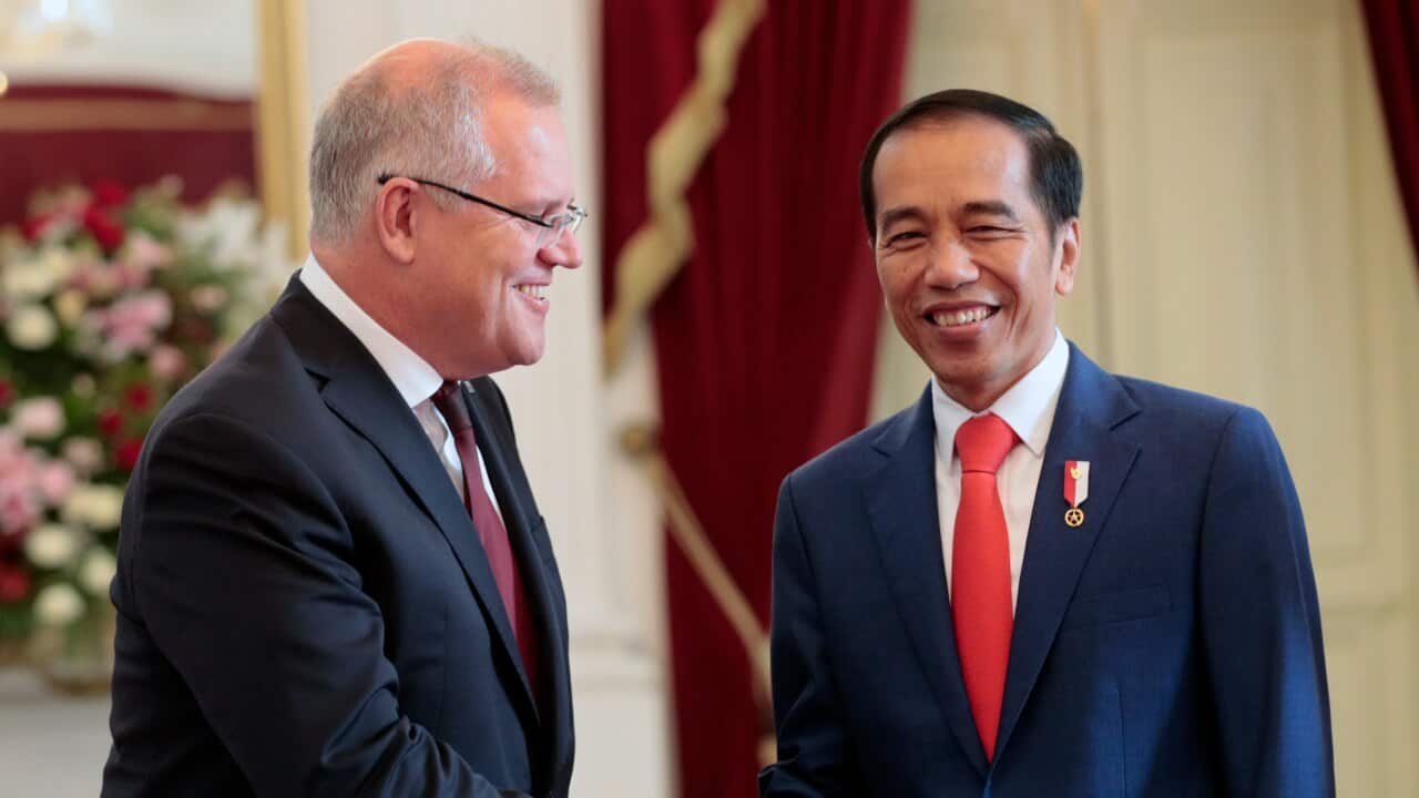 Joko Widodo shakes hands with Prime Minister Scott Morrison during their meeting ahead of Widodo's inauguration.