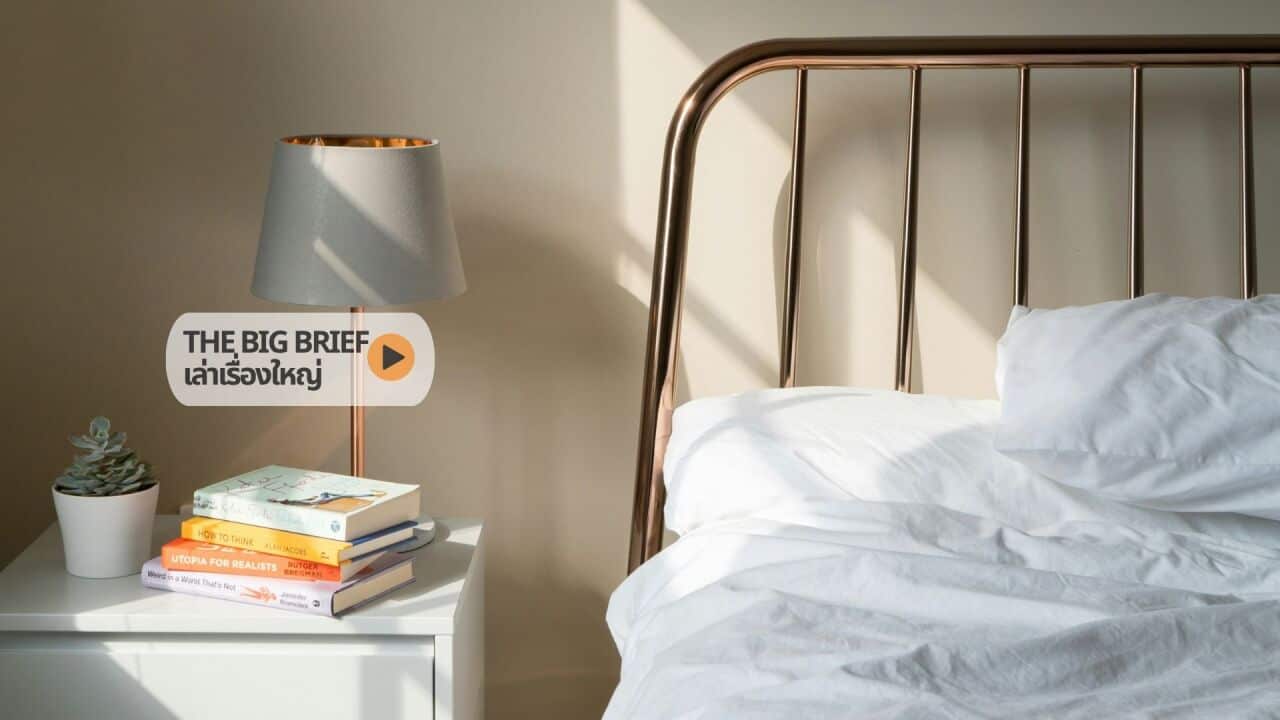 rental new Copy of The Big Brief HEADER .jpg