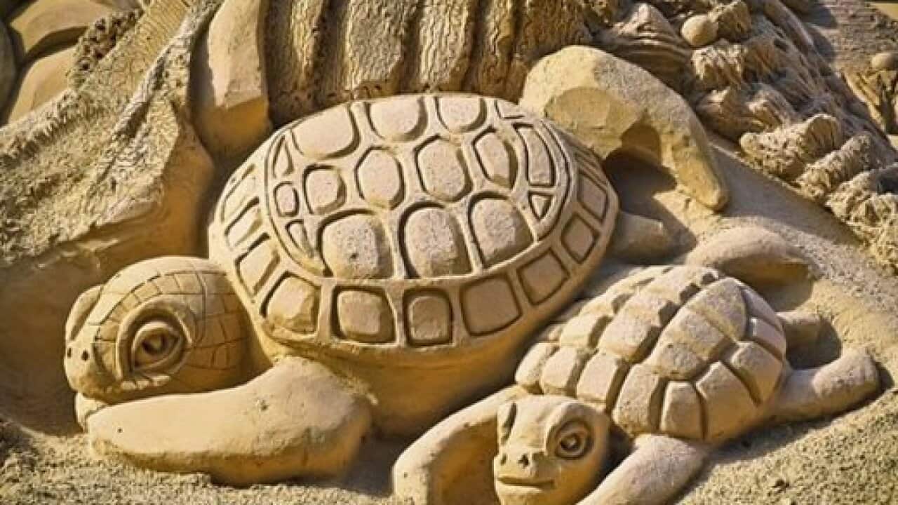 Sand Festival