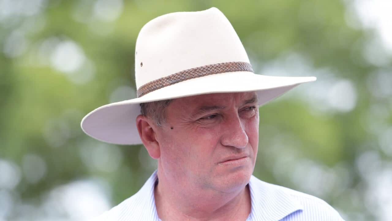 Deputy prime minister Barnaby Joyce