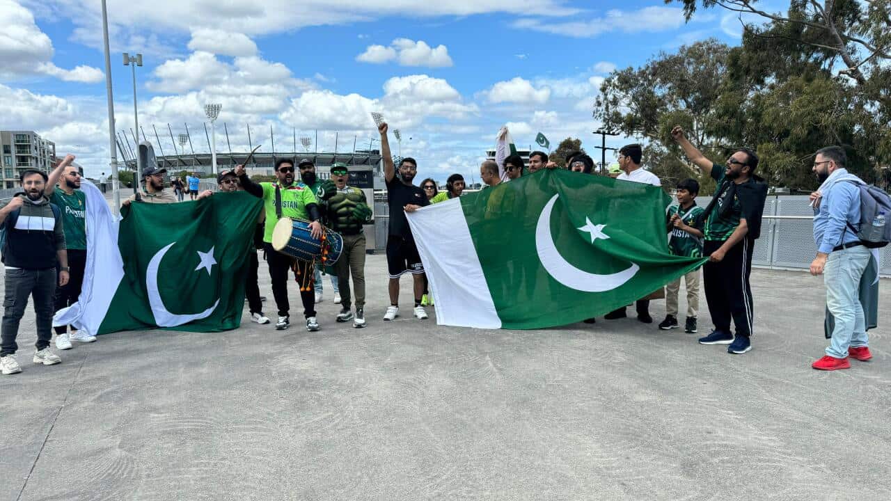 Pakistan vs Aus Fans