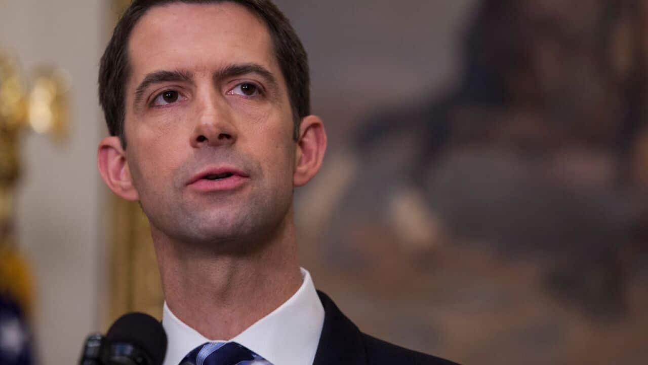 Republican senator Tom Cotton