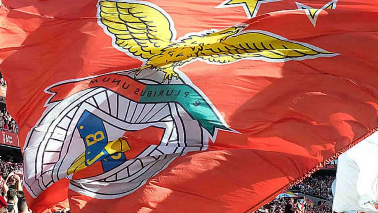 Image for read more article 'veja ainda'