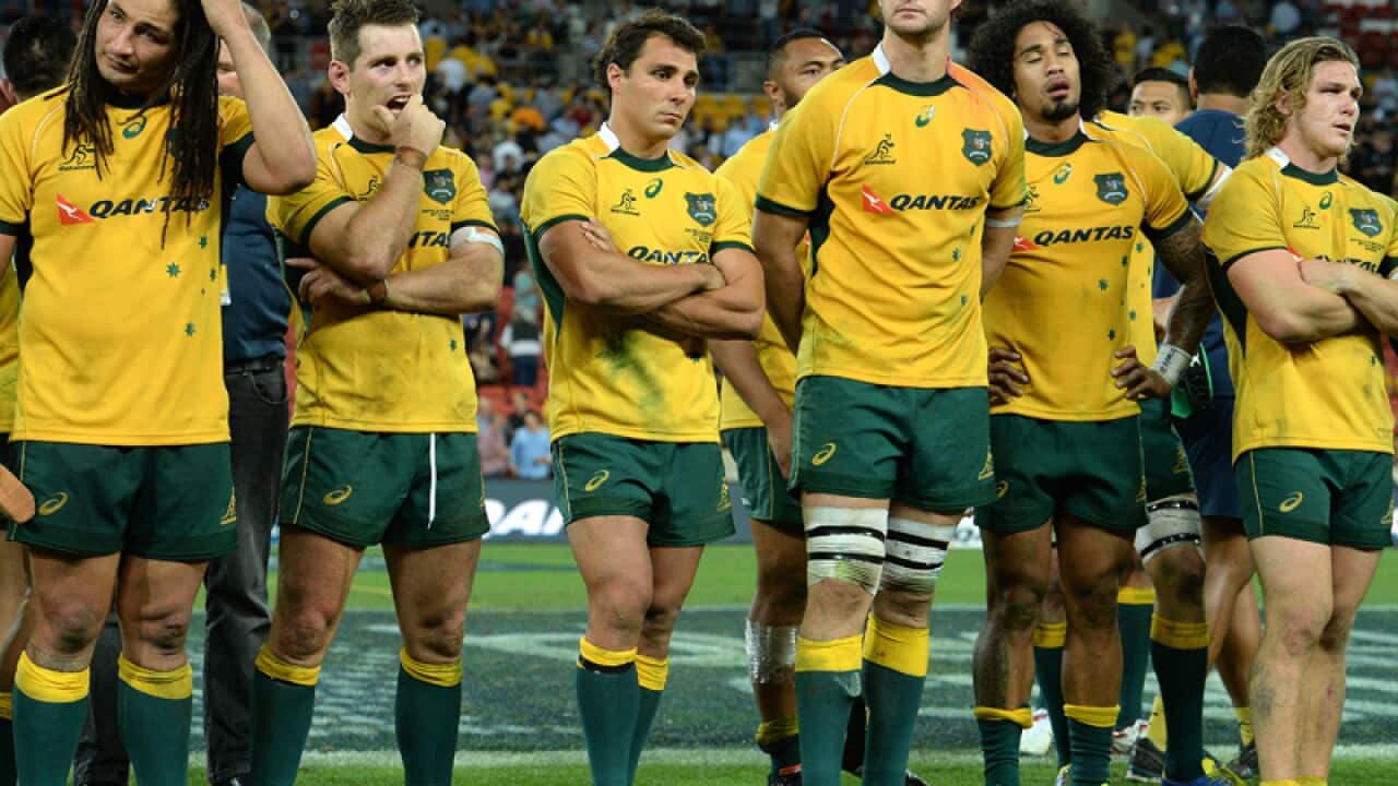 Wallabies players