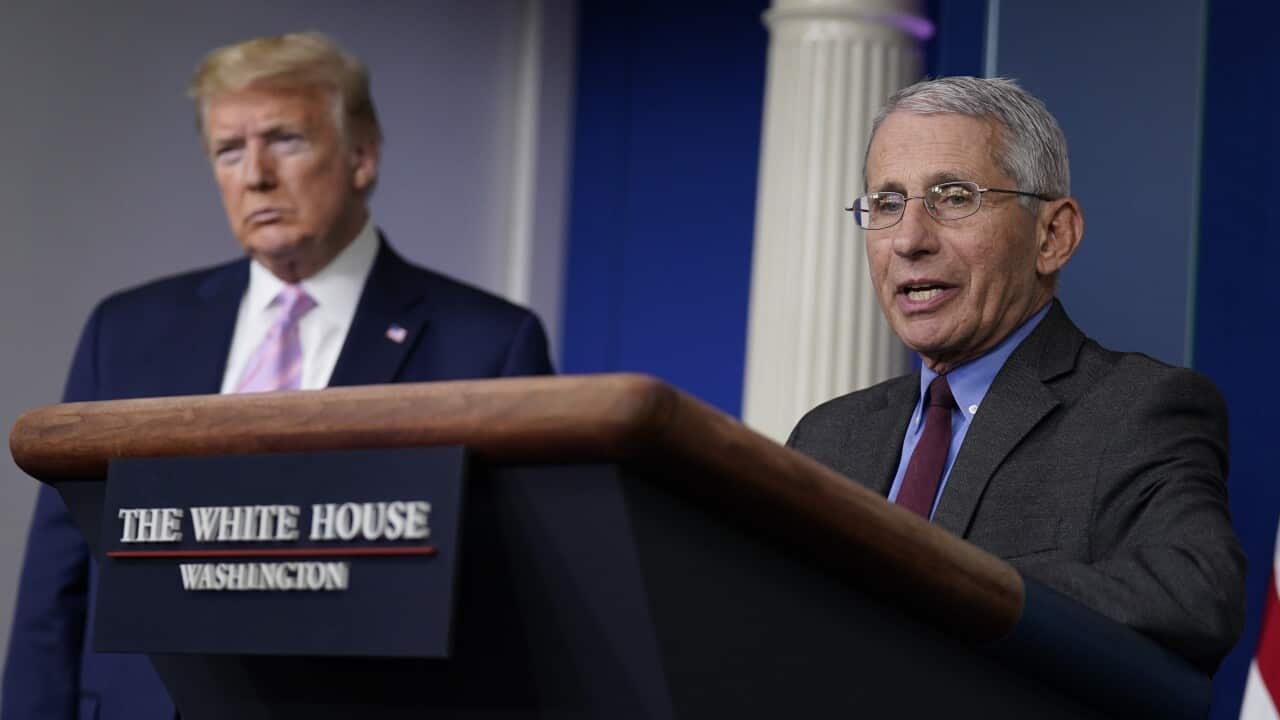 President Donald Trump listens as Director of the National Institute of Allergy and Infectious Diseases Dr. Anthony Fauci speaks during a coronavirus task force briefing at the White House, Friday, April 10, 2020, in Washington. (AP Photo/Evan Vucci)