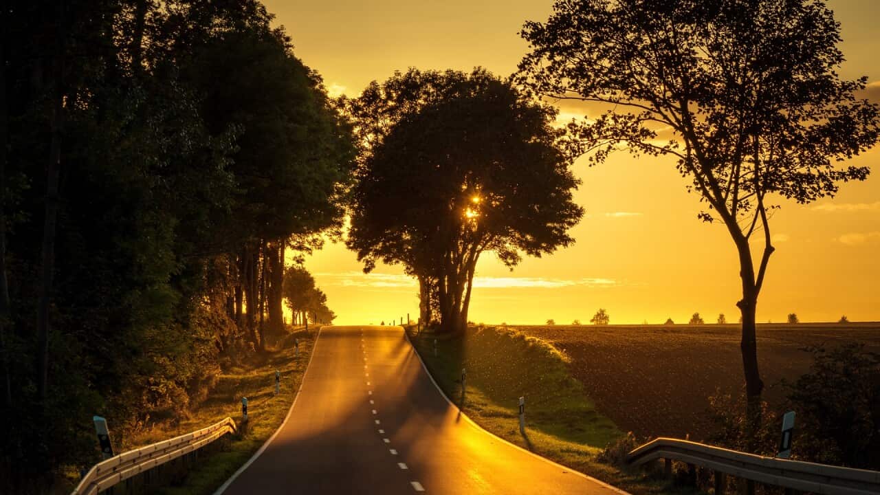 Road sunset landscape