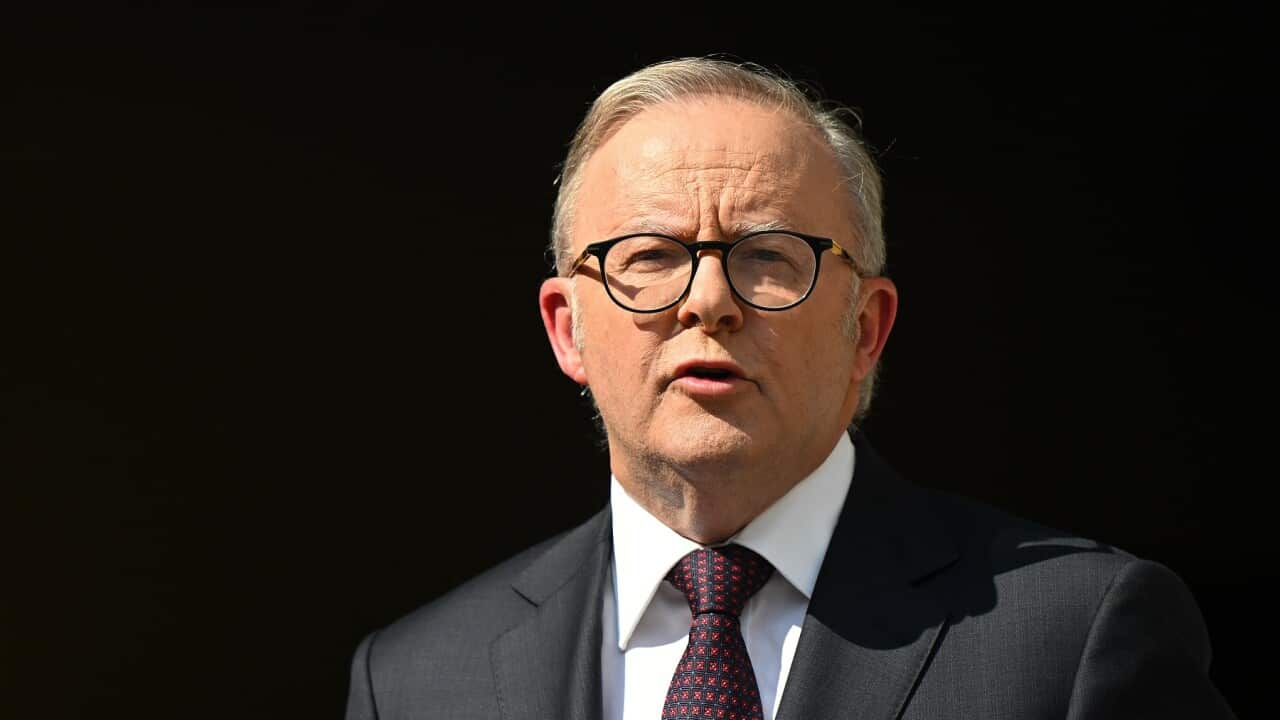 ALBANESE ROYAL COMMISSION ANNOUNCEMENT