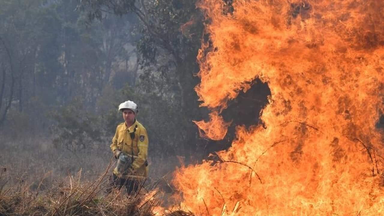 NEW SOUTH WALES BUSHFIRES