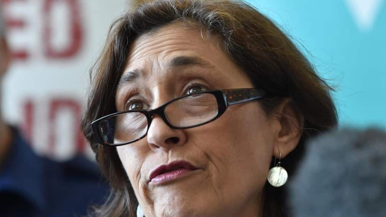 Minister for Environment Lily D'Ambrosio (file image)