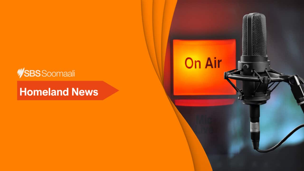Somali Homeland News.png
