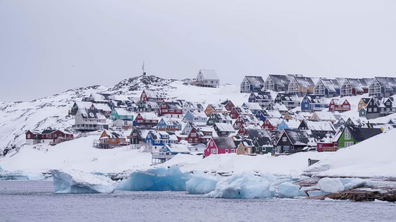 Denmark Greenland Trump