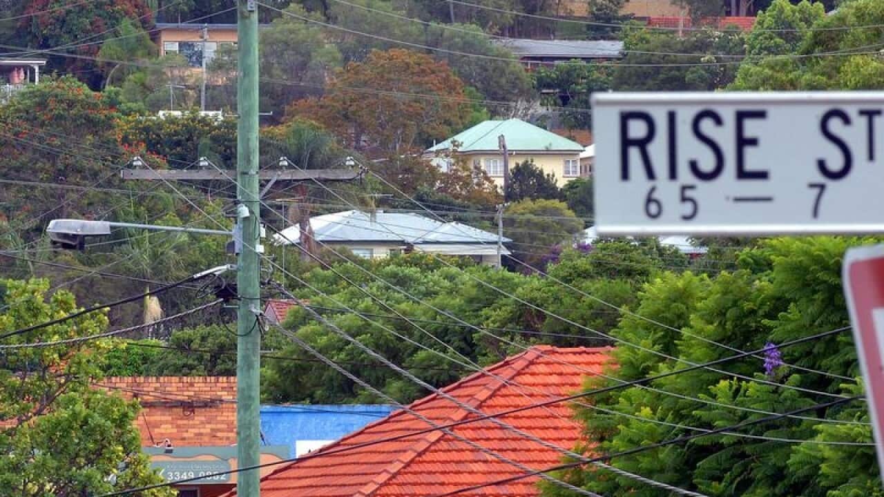 houses amongst trees