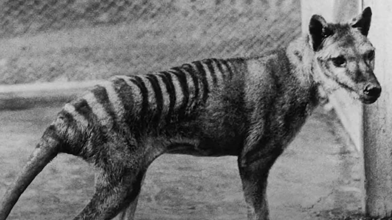 Image for read more article 'Más información:'