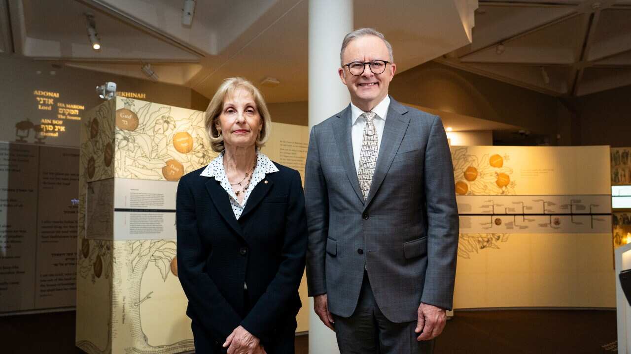 ANTHONY ALBANESE JEWISH MUSEUM VISIT