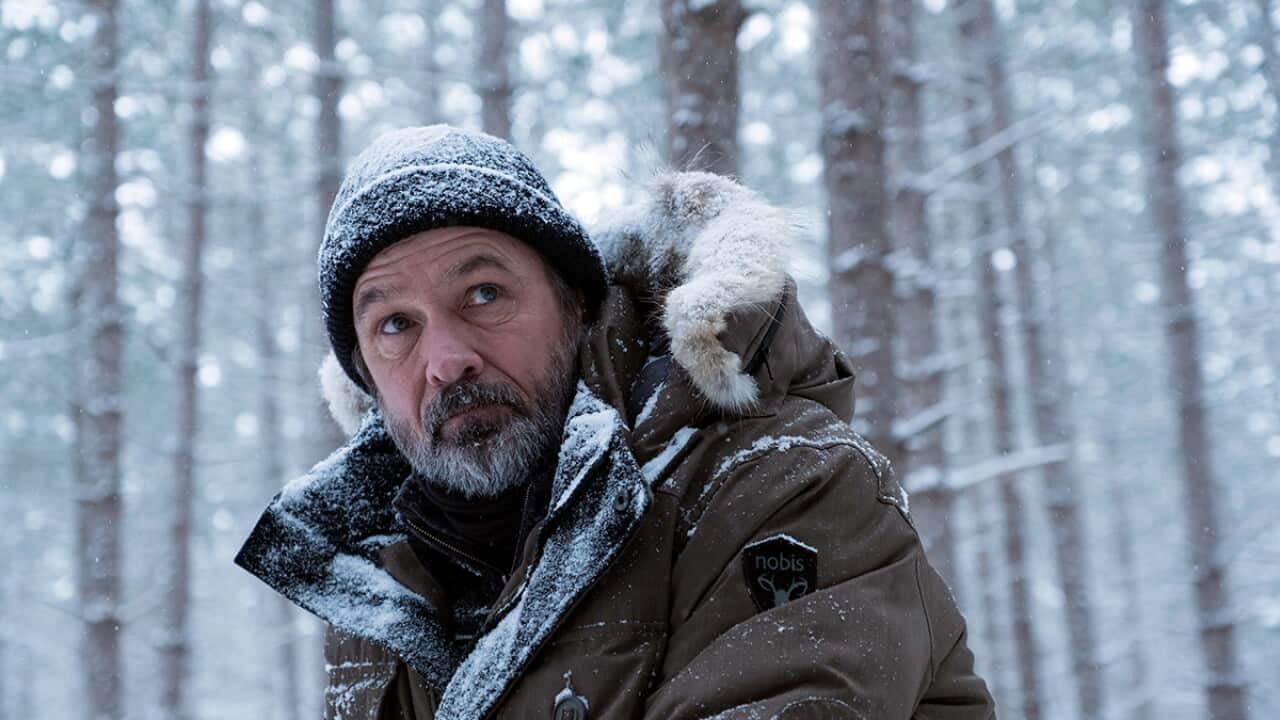 Billy Campbell as John Cardinal in season 4