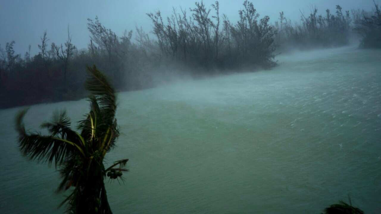 Strong wind from Hurricane Dorian lashes trees Freeport, Grand Bahama