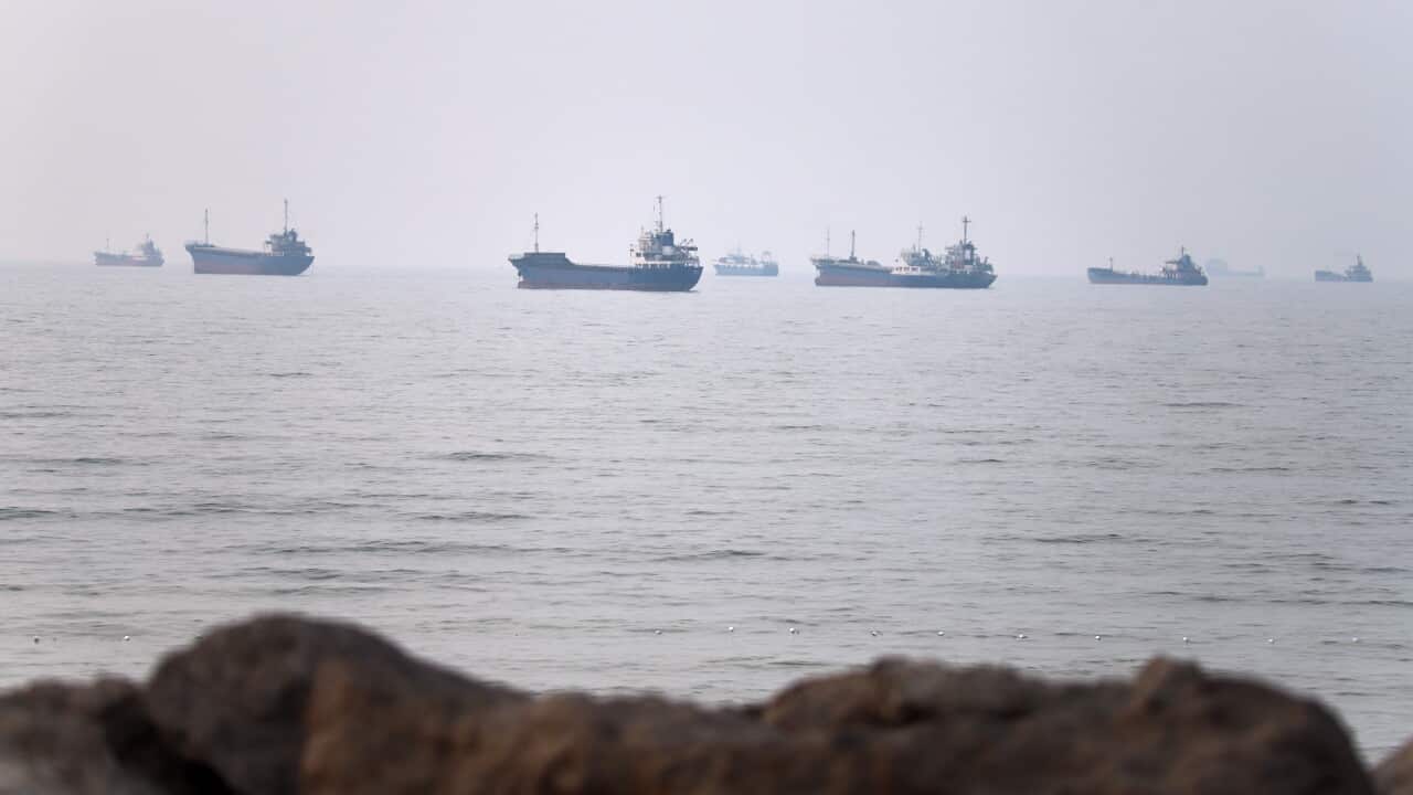 Several large container ships on a still body of water