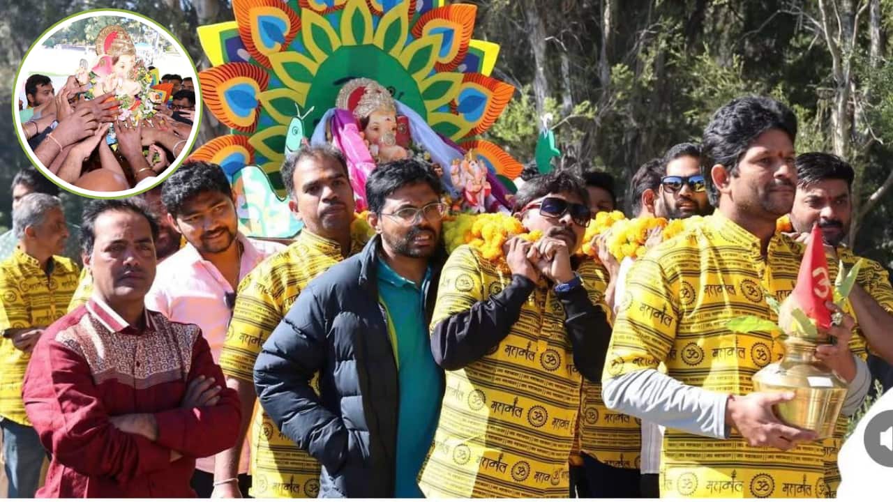 Adelaide_Teja (1).png